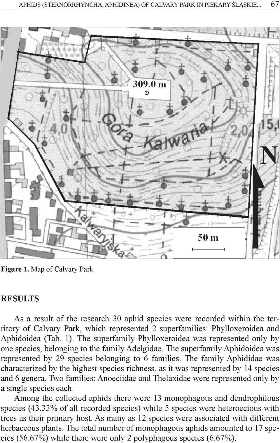 The superfamily Phylloxeroidea was represented only by one species, belonging to the family Adelgidae. The superfamily Aphidoidea was represented by 29 species belonging to 6 families.