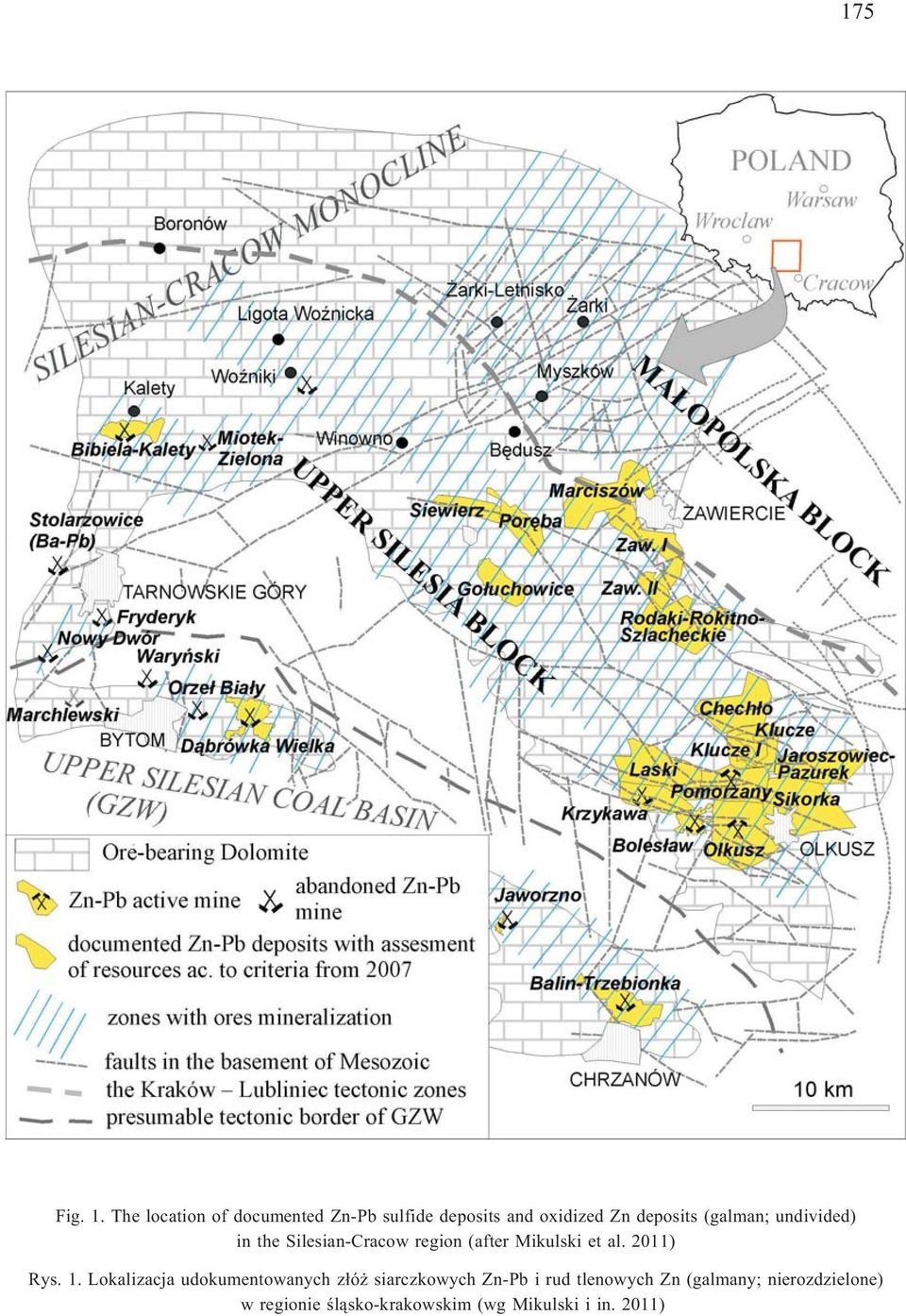 (galman; undivided) in the Silesian-Cracow region (after Mikulski et al.