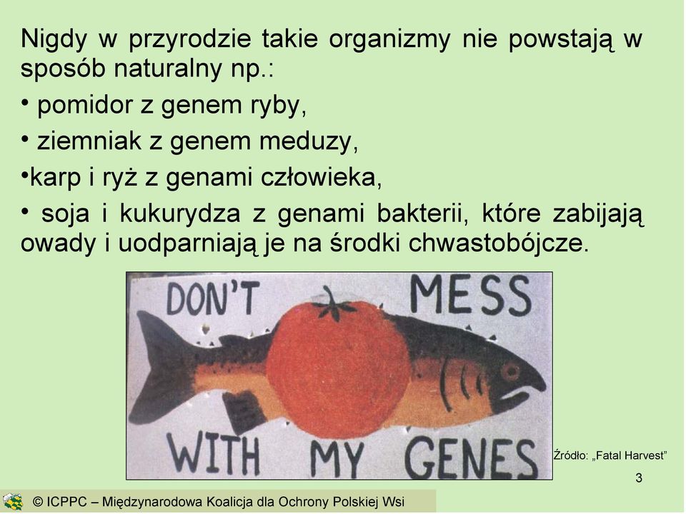 soja i kukurydza z genami bakterii, które zabijają owady i uodparniają je na