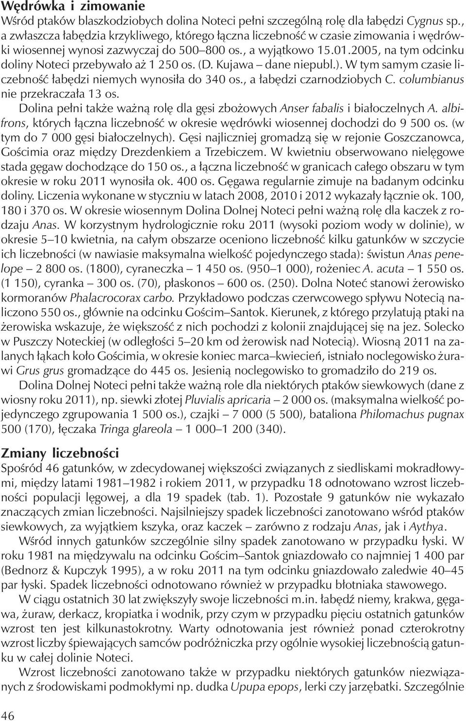 2005, na tym odcinku doliny Noteci przebywało aż 1 250 os. (D. Kujawa dane niepubl.). W tym samym czasie liczebność łabędzi niemych wynosiła do 340 os., a łabędzi czarnodziobych C.