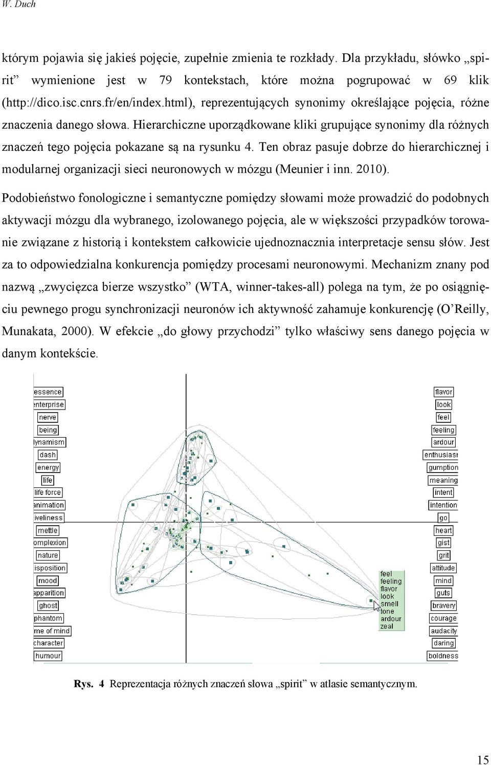 Ten obraz pasuje dobrze do hierarchicznej i modularnej organizacji sieci neuronowych w mózgu (Meunier i inn. 2010).