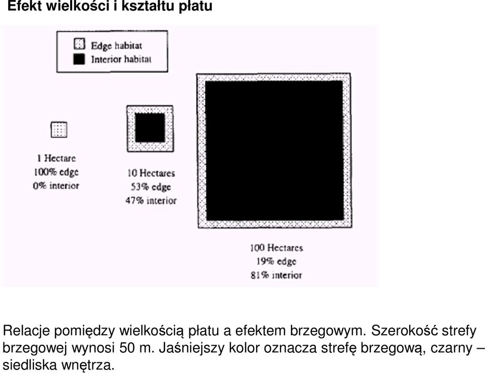 Szerokość strefy brzegowej wynosi 50 m.