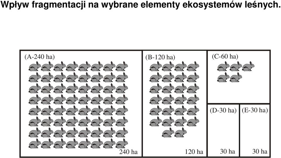 (A-240 ha) (B-120 ha) (C-60 ha)