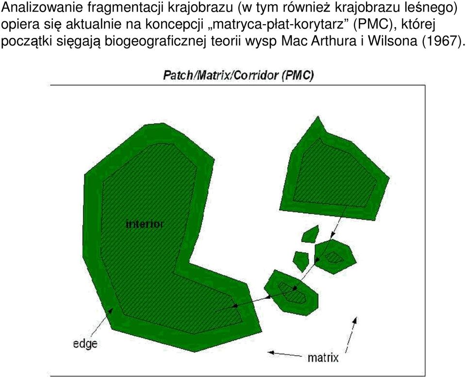 matryca-płat-korytarz (PMC), której początki sięgają