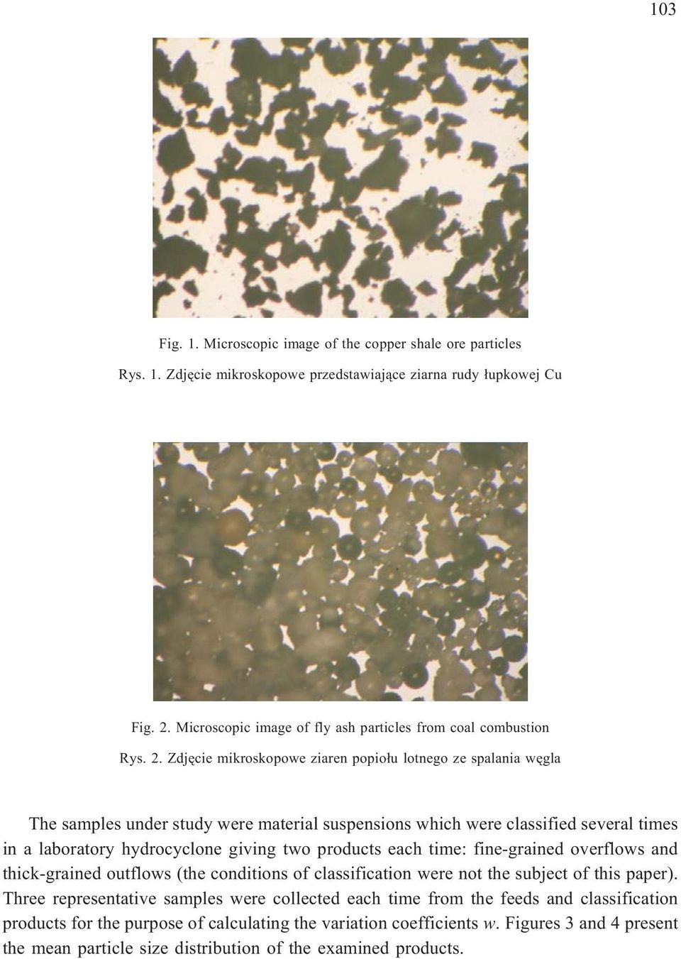 Zdjêcie mikroskopowe ziaren popio³u lotnego ze spalania wêgla The samples under study were material suspensions which were classified several times in a laboratory hydrocyclone giving two