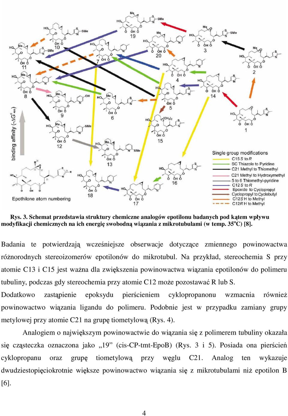 Na przykład, stereochemia S przy atomie C13 i C15 jest waŝna dla zwiększenia powinowactwa wiązania epotilonów do polimeru tubuliny, podczas gdy stereochemia przy atomie C12 moŝe pozostawać R lub S.