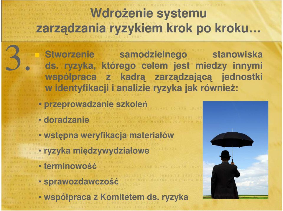 identyfikacji i analizie ryzyka jak równieŝ: przeprowadzanie szkoleń doradzanie wstępna