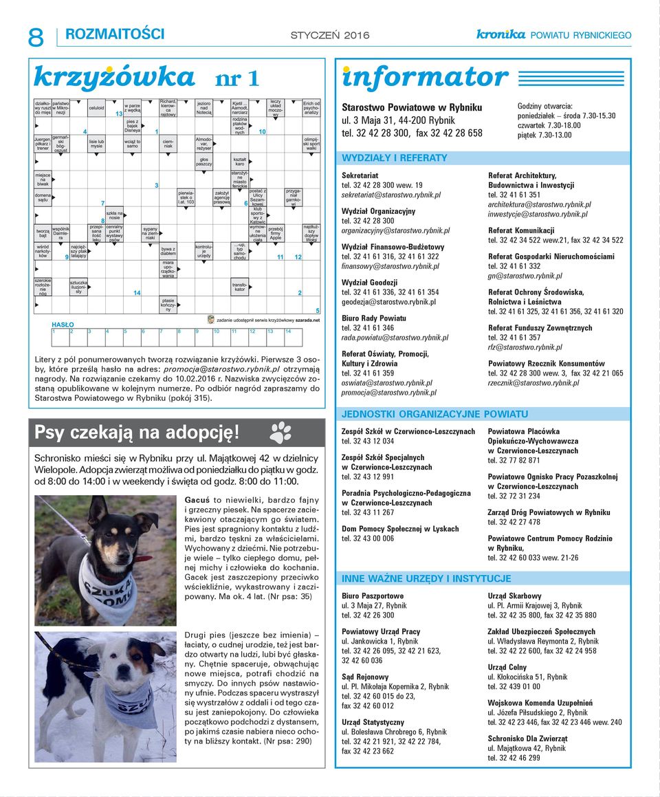 Na rozwiązanie czekamy do 10.02.2016 r. Nazwiska zwycięzców zostaną opublikowane w kolejnym numerze. Po odbiór nagród zapraszamy do Starostwa Powiatowego w Rybniku (pokój 315). Psy czekają na adopcję!
