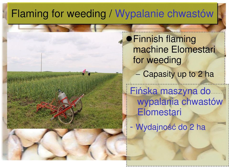 weeding Capasity up to 2 ha Fińska maszyna