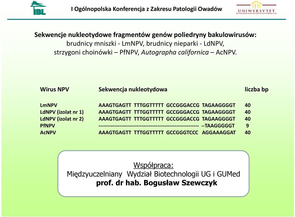 Wirus NPV Sekwencja nukleotydowa liczba bp LmNPV AAAGTGAGTT TTTGGTTTTT GCCGGGACCG TAGAAGGGGT 40 LdNPV (izolat nr 1) AAAGTGAGTT TTTGGTTTTT