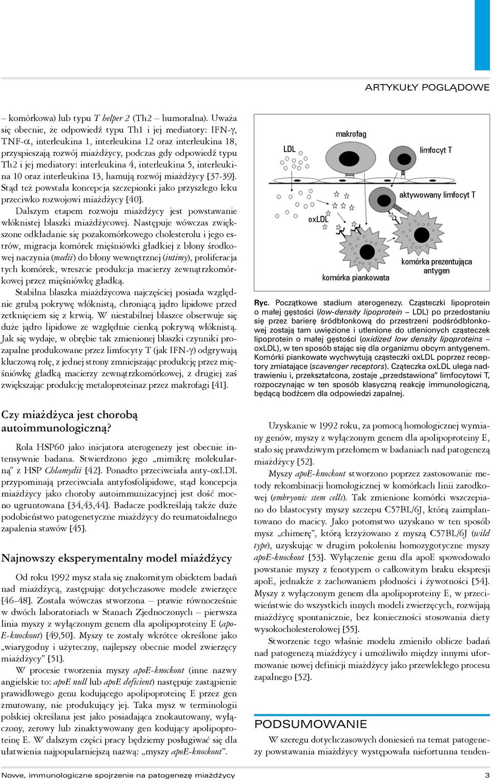 mediatory: interleukina 4, interleukina 5, interleukina 10 oraz interleukina 13, hamują rozwój miażdżycy [37-39].