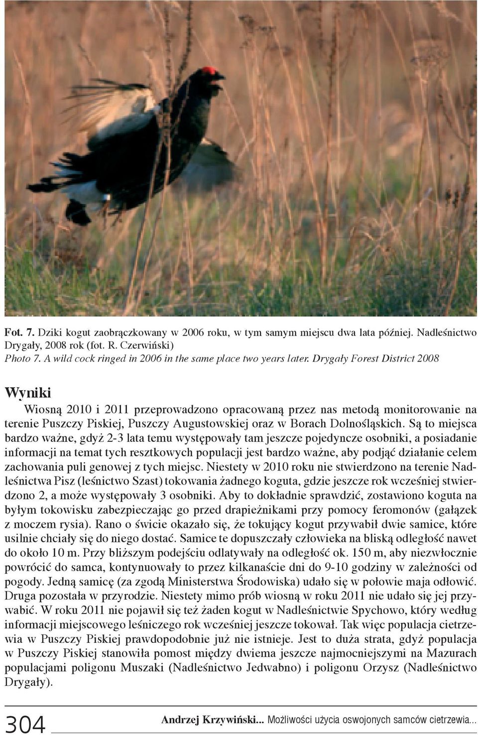 Dryga³y Forest District 2008 Wyniki Wiosn¹ 2010 i 2011 przeprowadzono opracowan¹ przez nas metod¹ monitorowanie na terenie Puszczy Piskiej, Puszczy Augustowskiej oraz w Borach Dolnoœl¹skich.