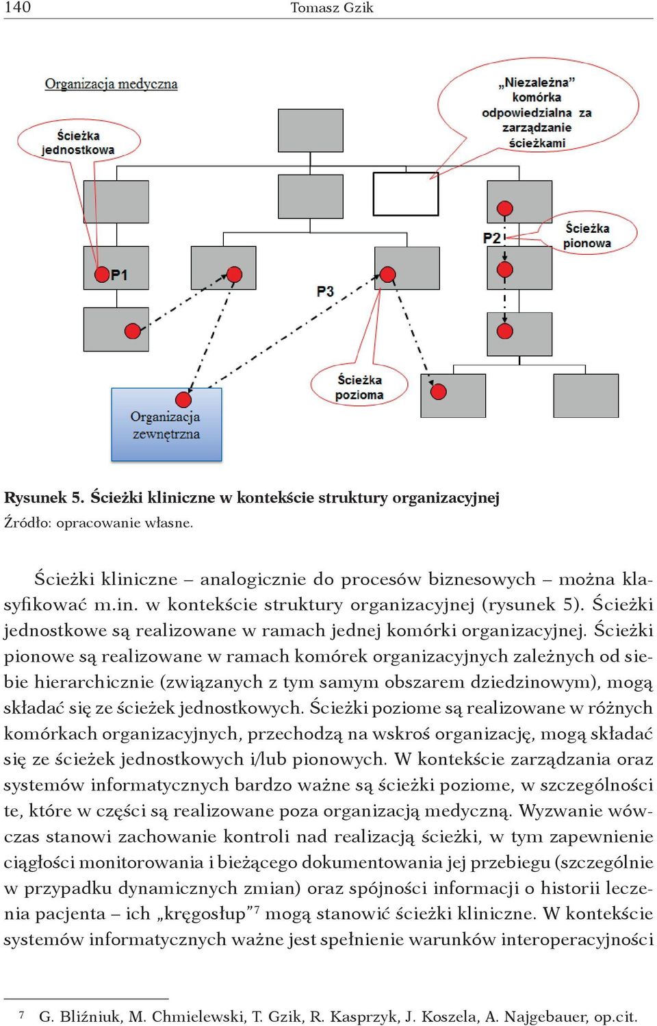 Ścieżki pionowe są realizowane w ramach komórek organizacyjnych zależnych od siebie hierarchicznie (związanych z tym samym obszarem dziedzinowym), mogą składać się ze ścieżek jednostkowych.