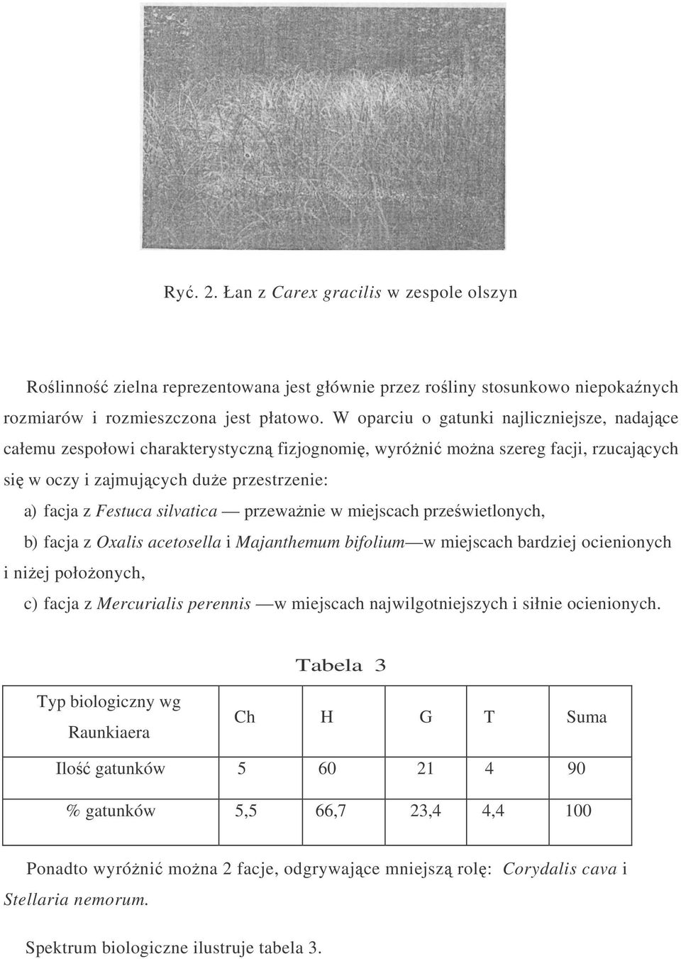 silvatica przewa nie w miejscach prze wietlonych, b) facja z Oxalis acetosella i Majanthemum bifolium w miejscach bardziej ocienionych i ni ej poło onych, c) facja z Mercurialis perennis w miejscach