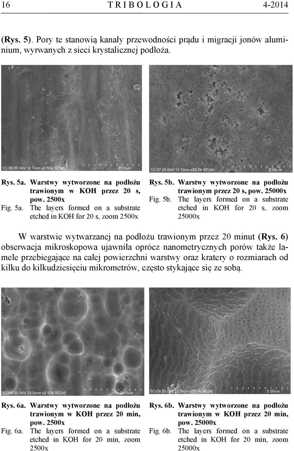 Warstwy wytworzone na podłożu trawionym przez 20 s, pow. 25000x Fig. 5b.