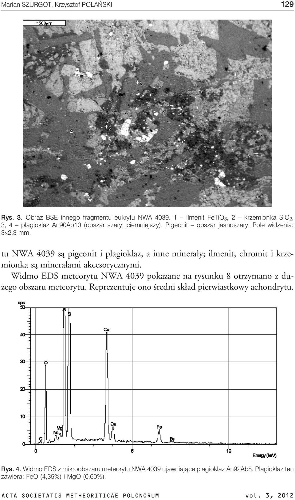 tu NWA 4039 s¹ pigeonit i plagioklaz, a inne minera³y; ilmenit, chromit i krzemionka s¹ minera³ami akcesorycznymi.