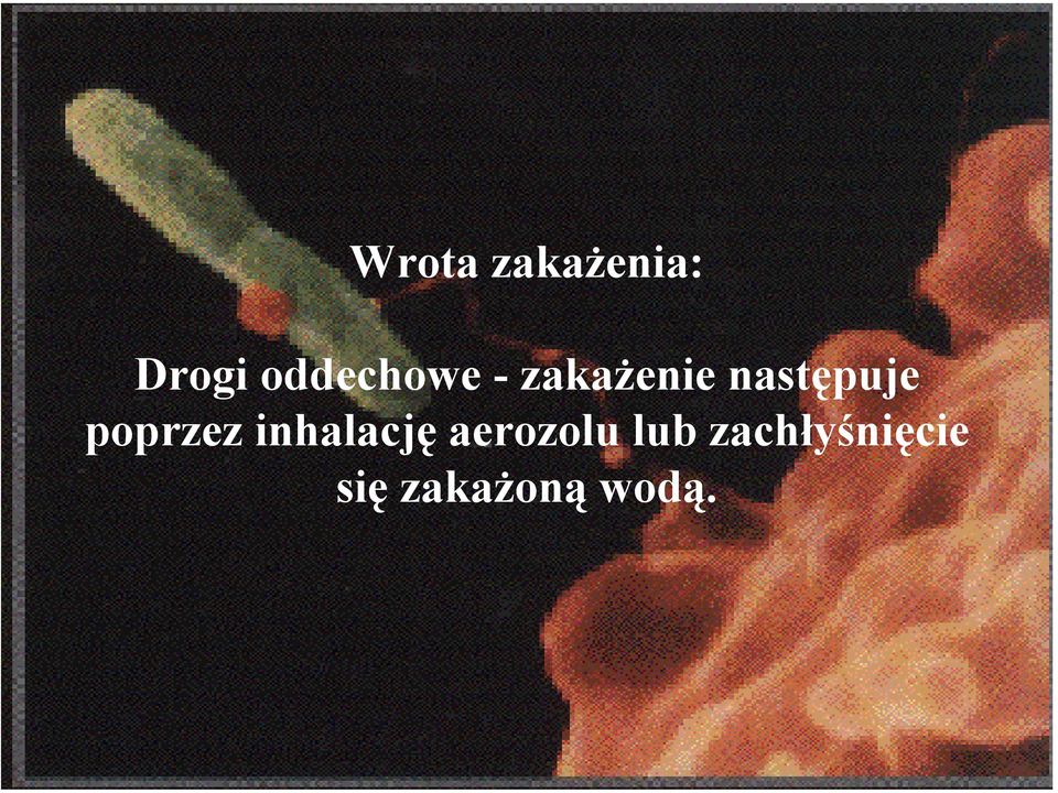 następuje poprzez inhalację