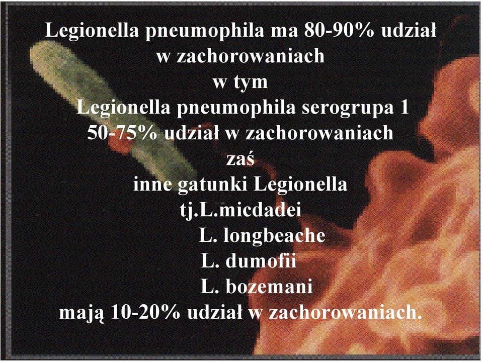 zachorowaniach zaś inne gatunki Legionella tj.l.micdadei L.