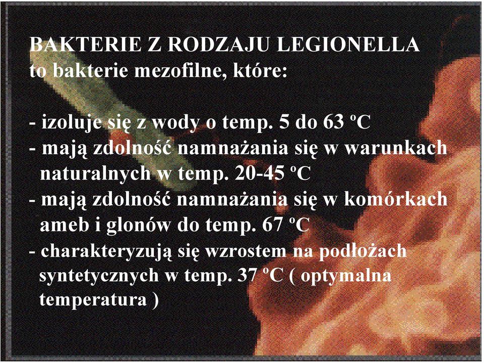 20-45 ºC - mają zdolność namnażania się w komórkach ameb i glonów do temp.