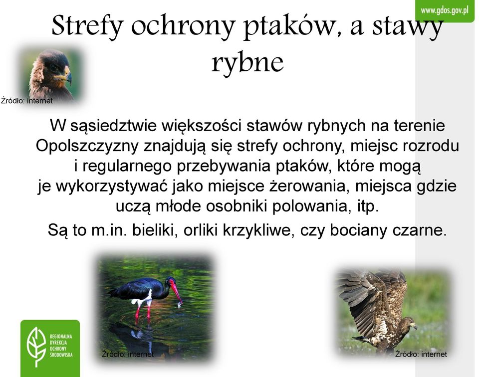 przebywania ptaków, które mogą je wykorzystywać jako miejsce żerowania, miejsca