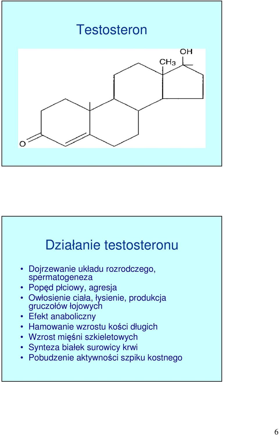 gruczołów łojowych Efekt anaboliczny Hamowanie wzrostu kości długich Wzrost