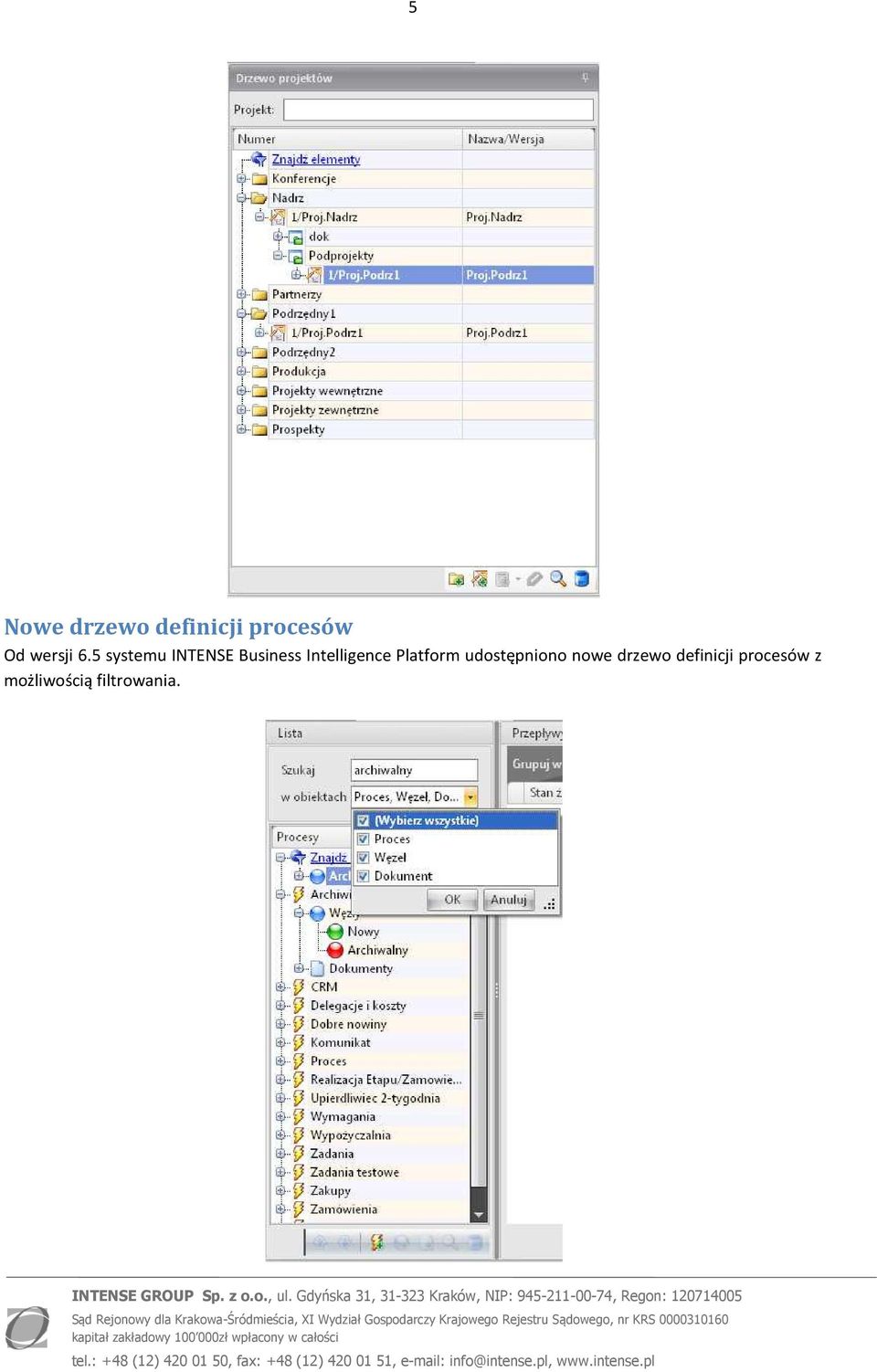 5 systemu INTENSE Business Intelligence