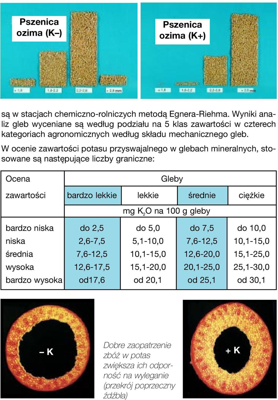 W ocenie zawartości potasu przyswajalnego w glebach mineralnych, stosowane są następujące liczby graniczne: Ocena Gleby zawartości bardzo lekkie lekkie średnie ciężkie mg K 2 O na 100 g