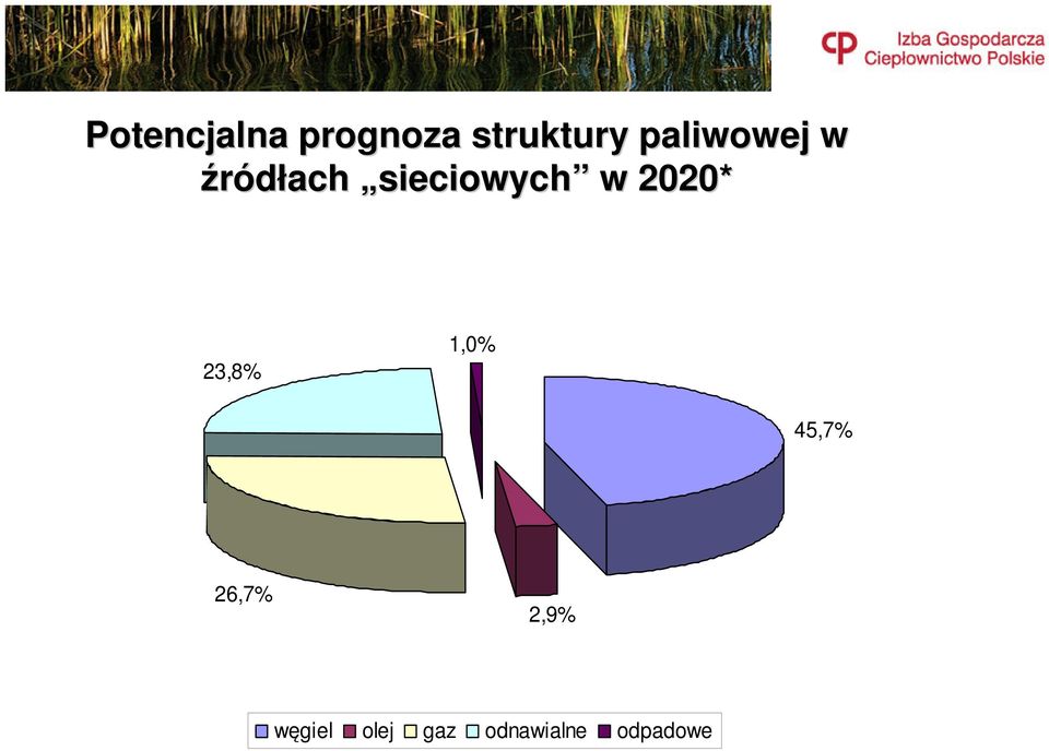 2020* 23,8% 1,0% 45,7% 26,7% 2,9%