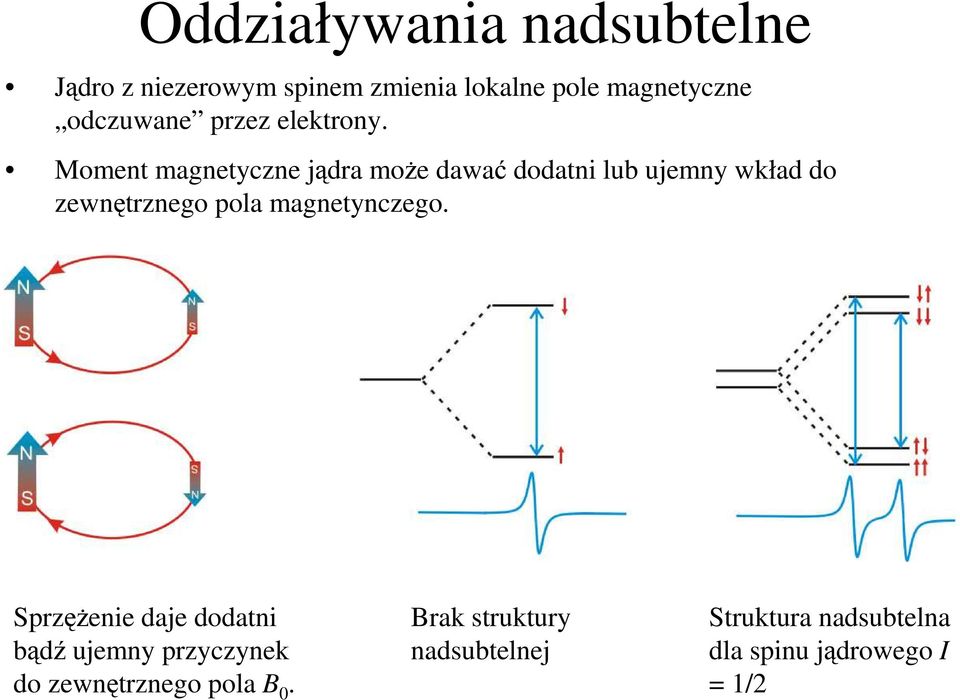 Moment magnetyczne jądra moŝe dawać dodatni lub ujemny wkład do zewnętrznego pola