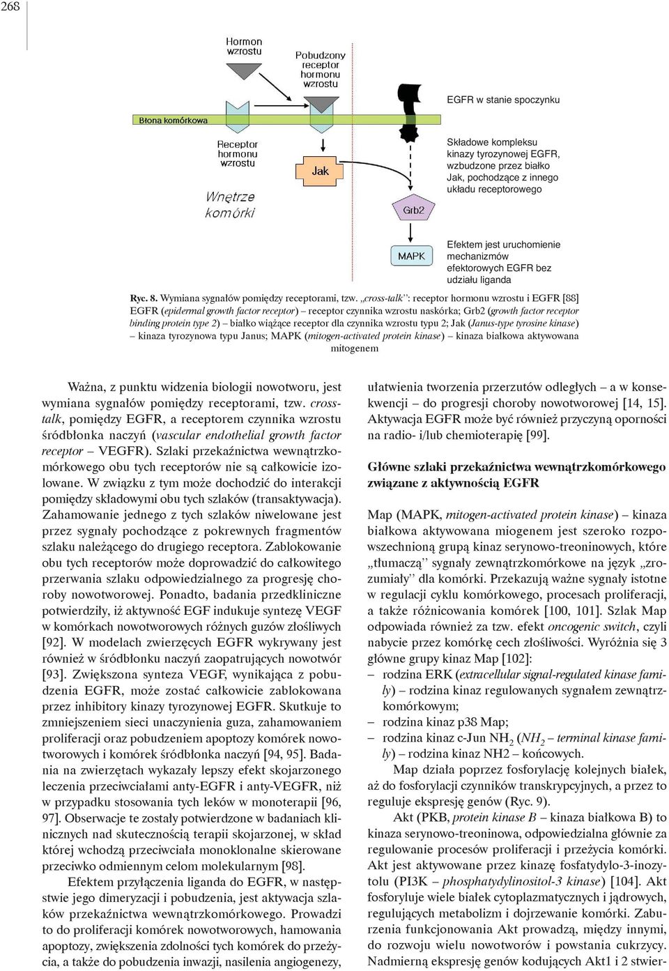 cross-talk : receptor hormonu wzrostu i EGFR [88] EGFR (epidermal growth factor receptor) receptor czynnika wzrostu naskórka; Grb2 (growth factor receptor binding protein type 2) białko wiążące