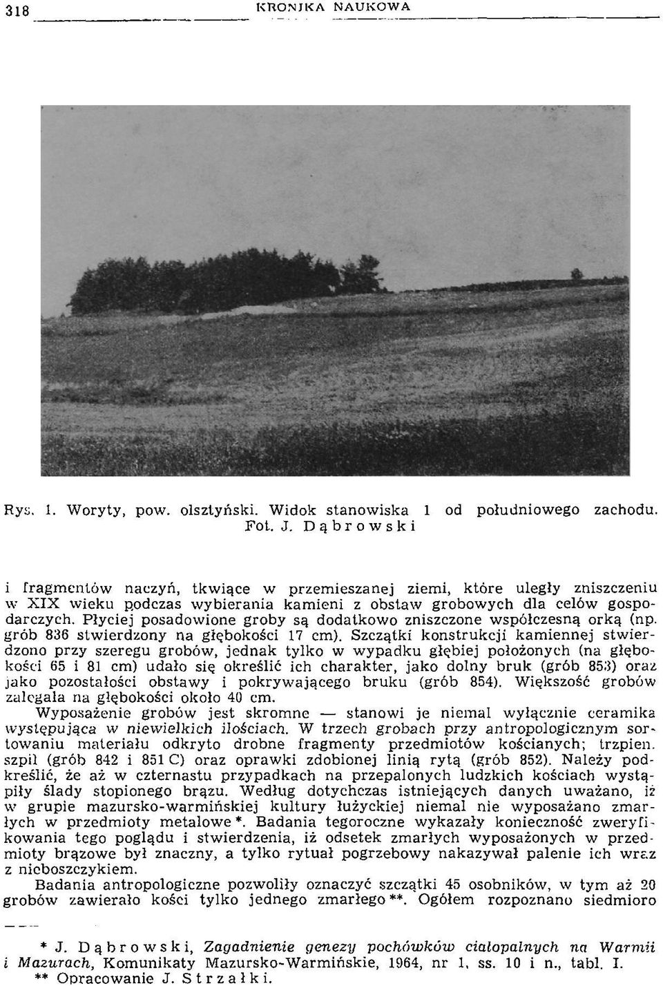 P łyciej posadow ione groby są dodatkow o zniszczone w spółczesną o rk ą (np. grób 836 stw ierdzony na głębokości 17 cm).