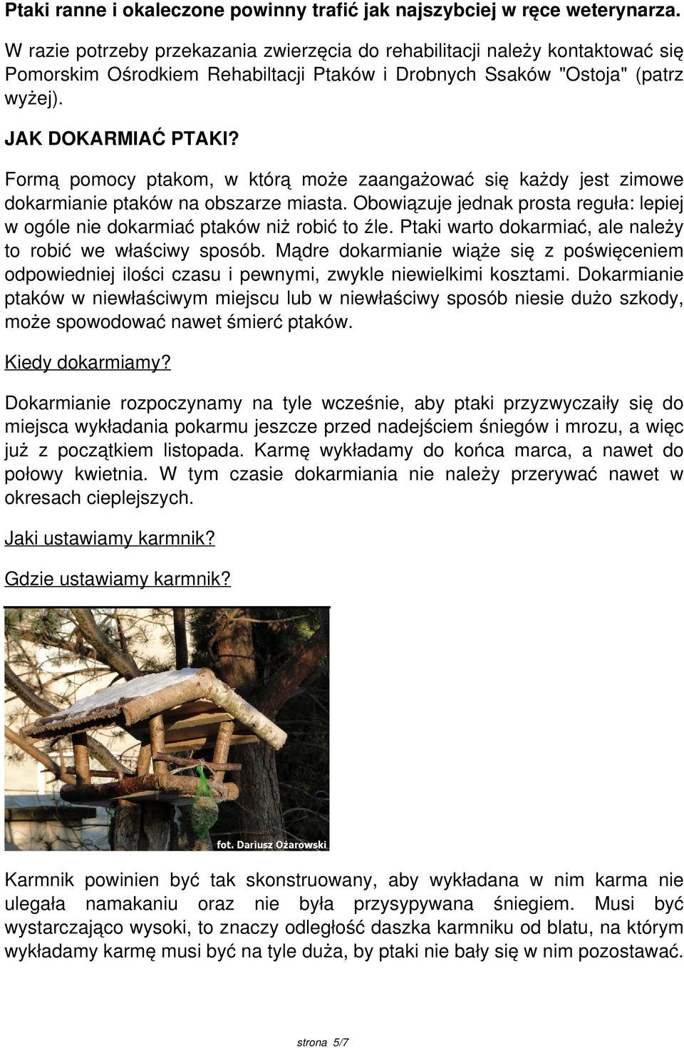 Formą pomocy ptakom, w którą może zaangażować się każdy jest zimowe dokarmianie ptaków na obszarze miasta. Obowiązuje jednak prosta reguła: lepiej w ogóle nie dokarmiać ptaków niż robić to źle.