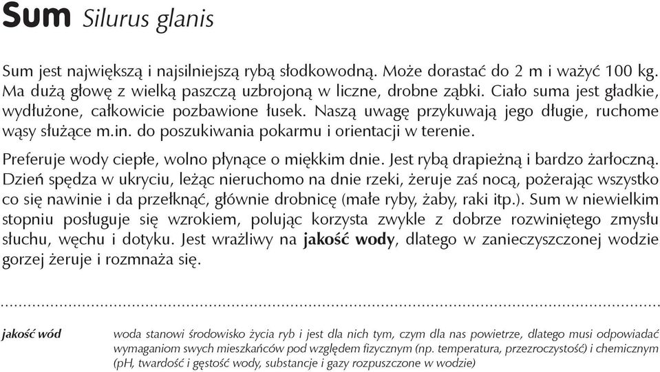 Preferuje wody ciepłe, wolno płynące o miękkim dnie. Jest rybą drapieżną i bardzo żarłoczną.