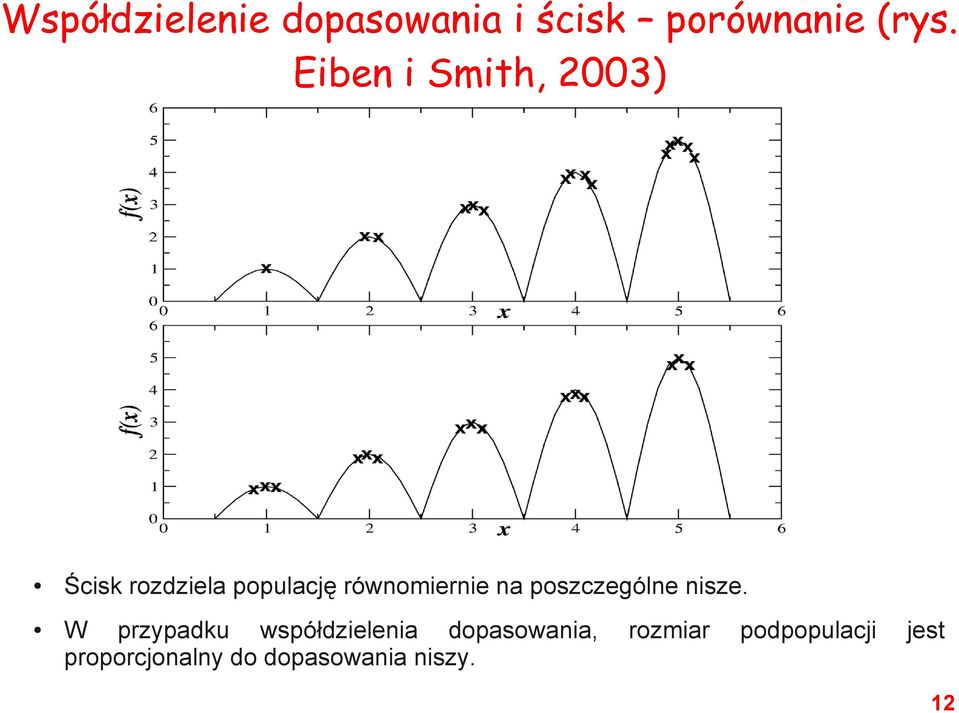 równomiernie na poszczególne nisze.