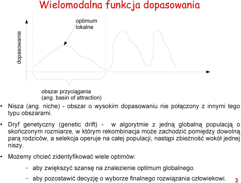 Dryf genetyczny (genetic drift) - w algorytmie z jedną globalną populacją o skończonym rozmiarze, w którym rekombinacja może zachodzić pomiędzy dowolną