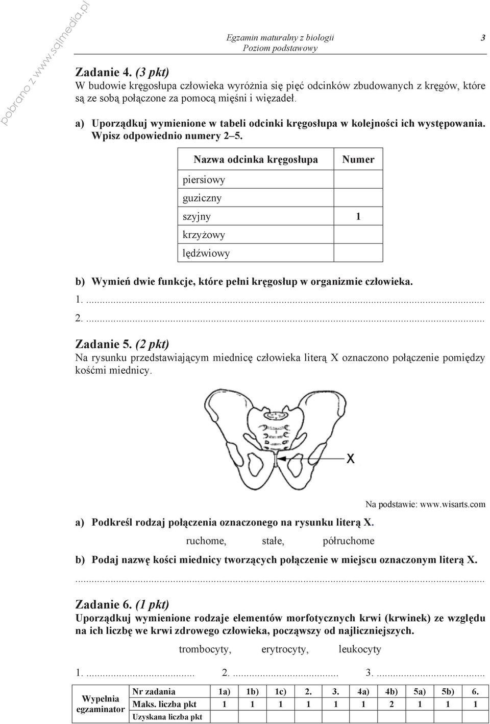 3 Nazwa odcinka kr gos upa Numer piersiowy guziczny szyjny 1 krzy owy l d wiowy b) Wymie dwie funkcje, które pe ni kr gos up w organizmie cz owieka. 1.... 2.... Zadanie 5.