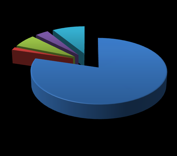 1,5% 11,4% Mieszkalnictwo 3,4% Użyteczność publiczna 1,5% Handel, usługi, przedsiębiorstwa Oświetlenie uliczne 82,2% Transport Rysunek 19 Udział poszczególnych sektorów odbiorców w całkowitym zużyciu