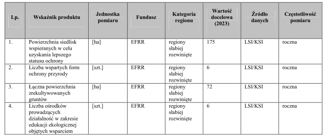 Wskaźniki produktu dla priorytetu 6.