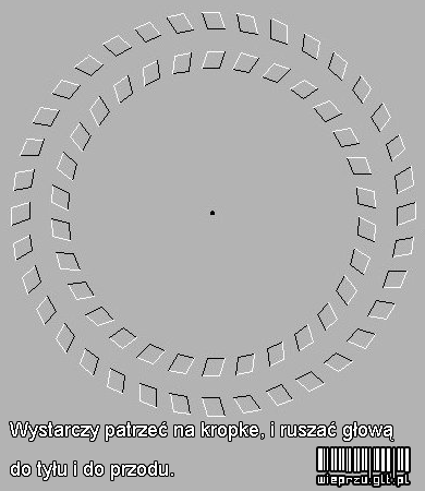 Percepcja wzrokowa II rzędowa kora