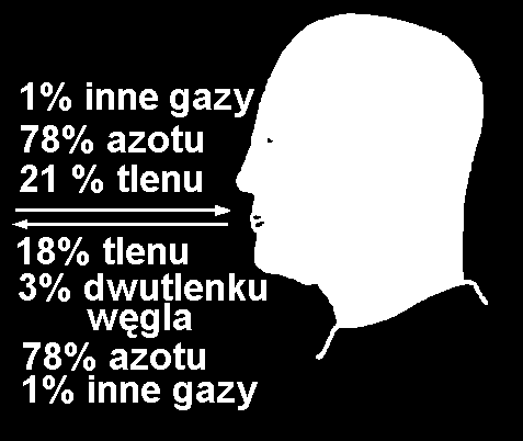 KURS STRAZAKÓW RATOWNIKÓW OSP część II TEMAT 4: Sprzęt ochrony dróg oddechowych Autor: Marek Płotica Proces oddychania Oddychanie jest to