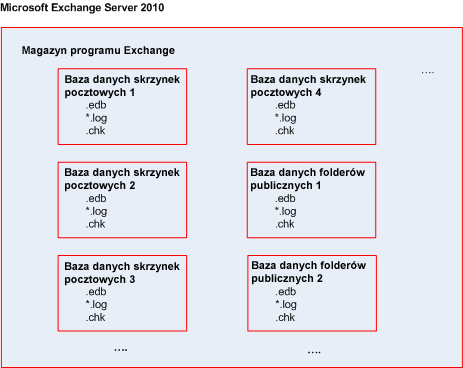 Diagram struktury magazynu informacji Poniższy diagram przedstawia strukturę magazynów informacji w różnych wersjach programu Exchange.