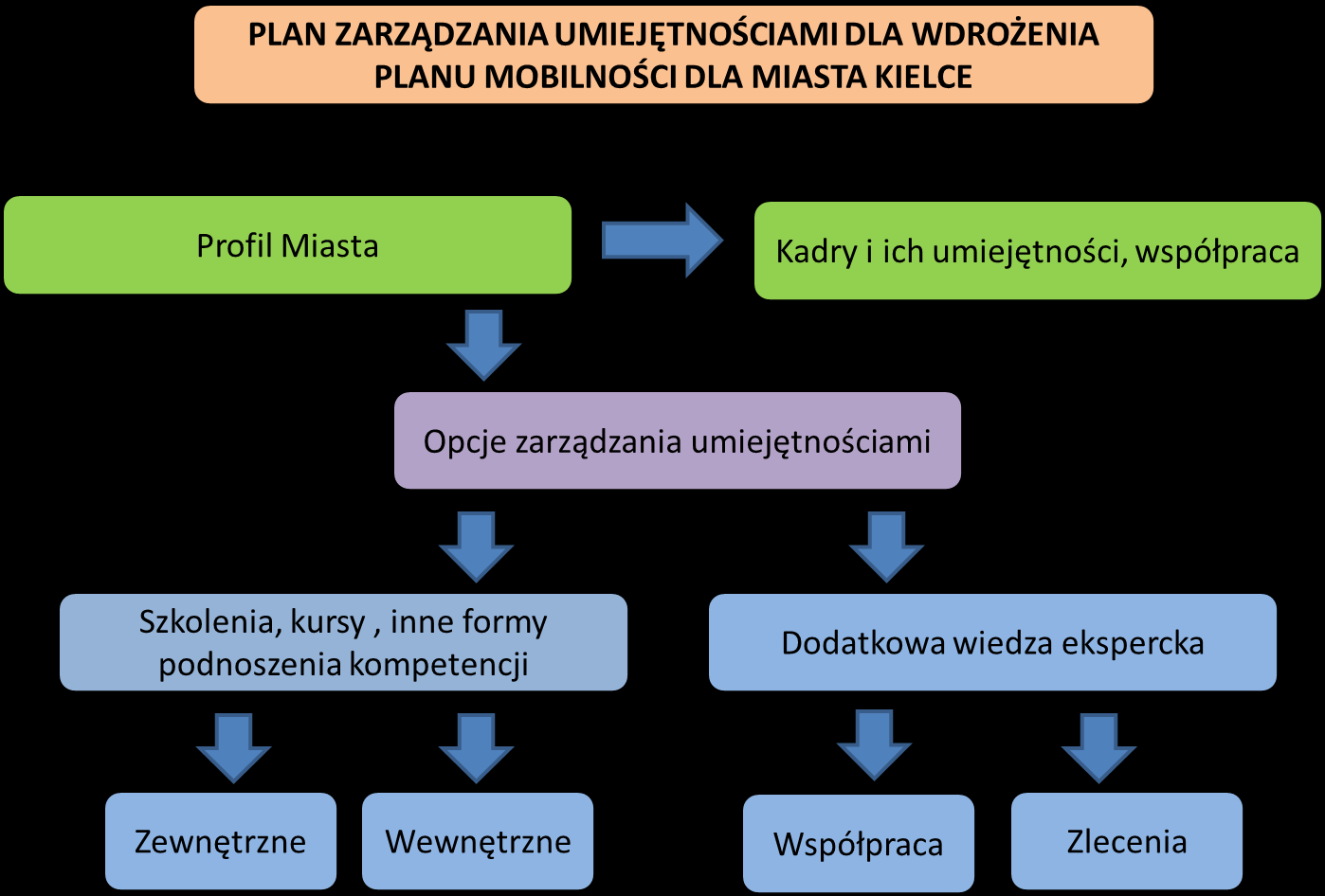 Rys. 1.3. Plan zarządzania umiejętnościami dla wdrożenia planu mobilności dla Miasta Kielce, na podstawie projektu PILOT 2007 Źródło: opracowanie własne na podstawie www.piolt-trasport.org.