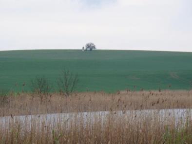 KAPLICZKI I KRZYŻE - MOTYWACJA: