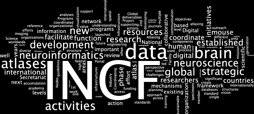 International Neuroinformatics Coordinating Facility (INCF) Global Science Forum OECD widzi potrzebę międzynarodowej koordynacji