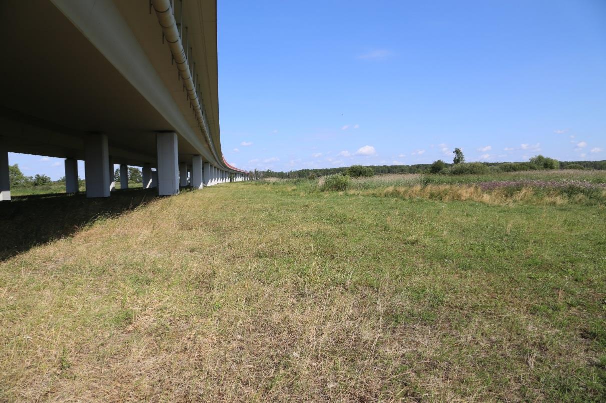 Teren badań Dolina rzeki Bzury