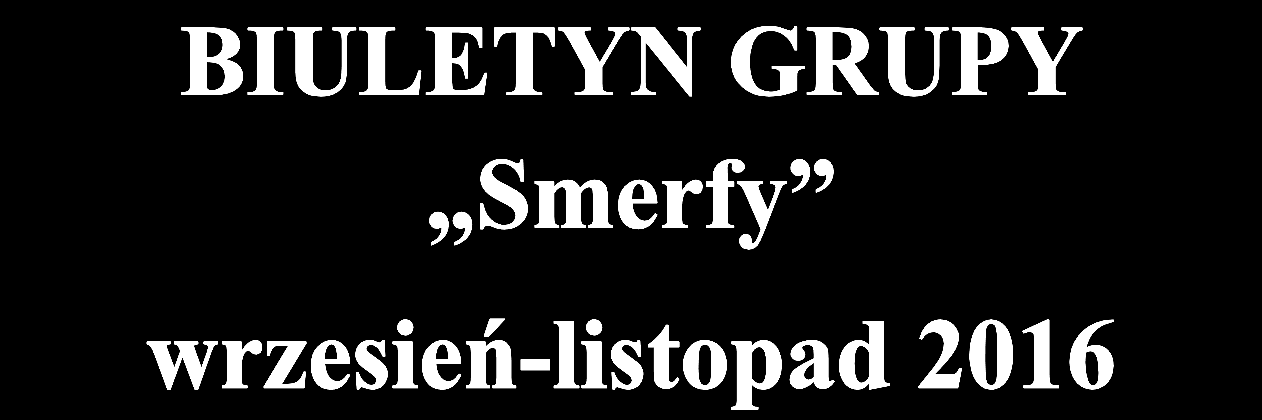 Uroczyste otwarcie odbyło się w przedszkolnym ogrodzie przy pięknej, słonecznej pogodzie.