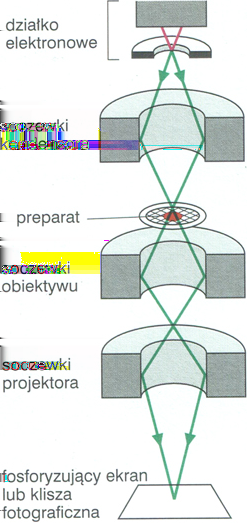 Doświadczenie Davissona-Germera Wykazało rozkład natężenia rozproszonych elektronów z ostrymi maksymami dla pewnych wartości kąta rozpraszania.