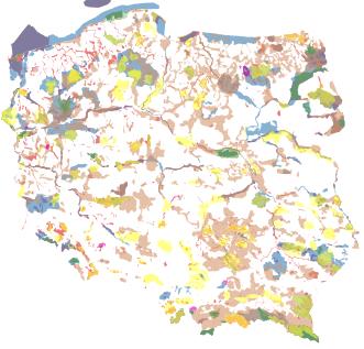 Łączna powierzchnia Średnia powierzchnia jednostkowa [ha] [ha] Parki narodowe 23 314 685 13 681,93 Rezerwaty przyrody 1 481 165 733 111,91 Parki krajobrazowe 122 2 526