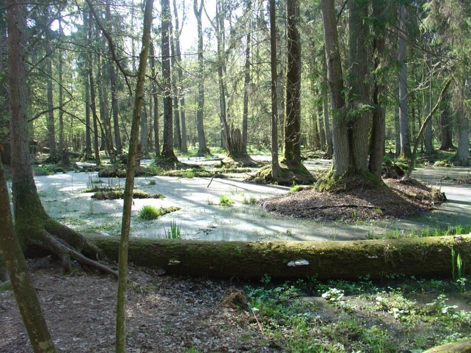 Usługi regulacyjne Ochrona gleb