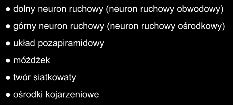 W skład układu ruchowego wchodzą: narząd ruchu mięśnie kości i ich połączenia dolny neuron ruchowy (neuron ruchowy obwodowy) górny neuron